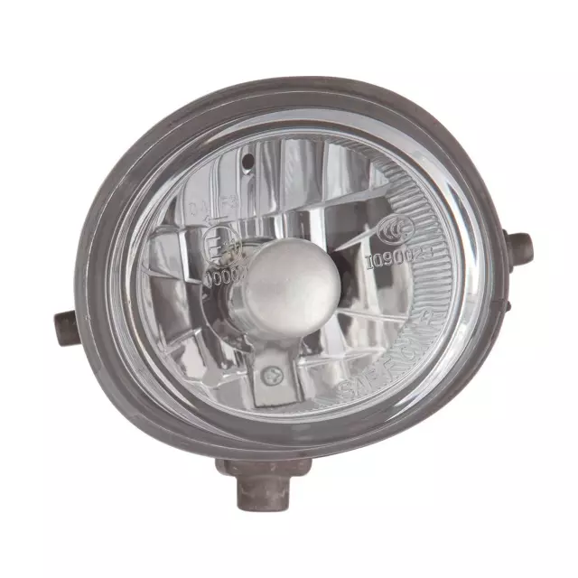 3162022RAC - : Fog Light Assembly for Maxzone Vehicle Lighting Image