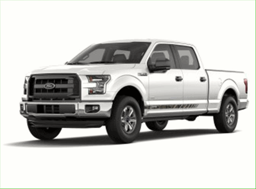 Speed Stripe - Mossy Oak Camo - Ford (VGL3Z-9920000-J)