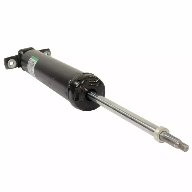 FR3Z18125AG - Suspension: Shock for Ford: Mustang Image