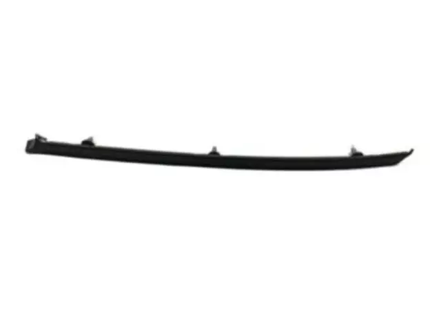 Roof Molding - Ford (F8VZ-5451728-AA)