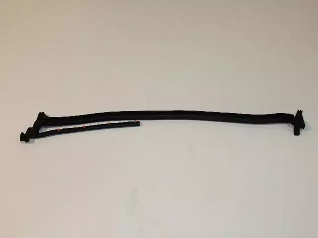 Rear Door Seal, Left - Mopar (55359397AG)
