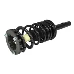 811116 - : Ford, Mercury (Sedan) Suspension Strut and Coil Spring Assembly  - Rear for GSP Image