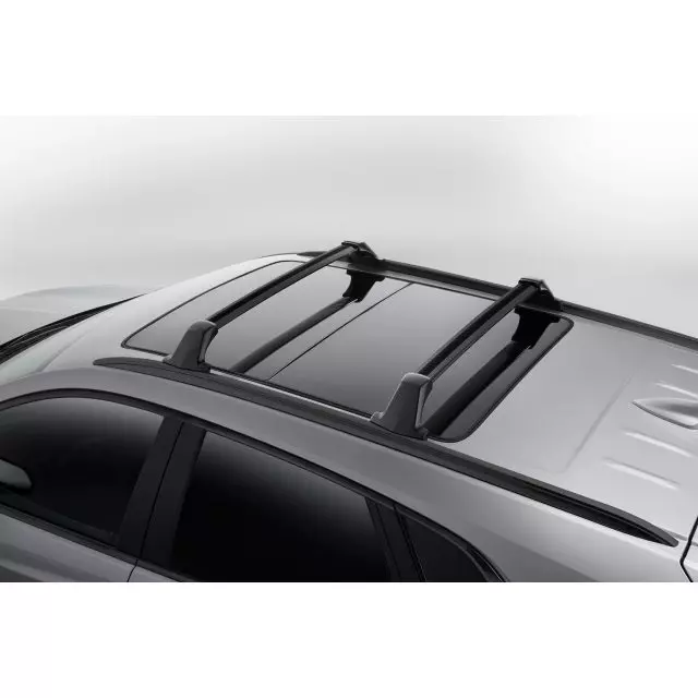 Roof Luggage Carrier Cross Rail Kit - GM (84800283)