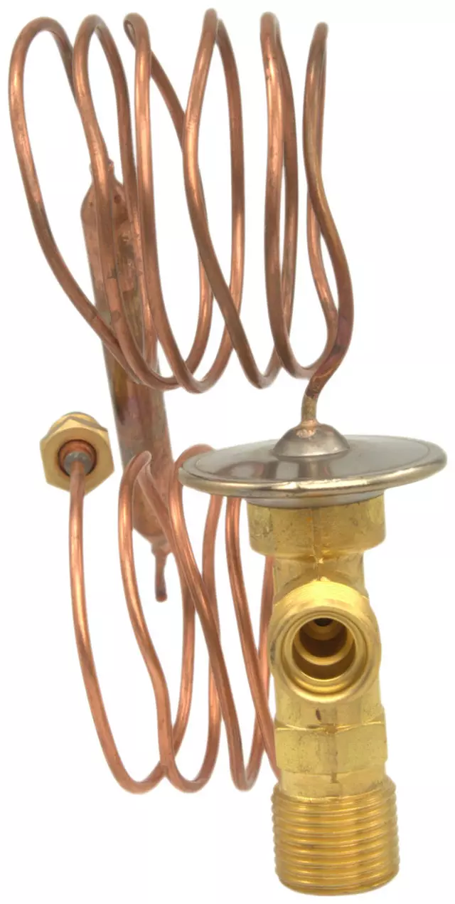 Valve - GM (19189767)