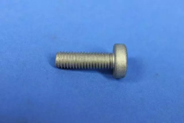 Water Pump Assembly Screw - Mopar (06104143AA)