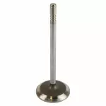 XL3Z6507BA - : Engine Intake Valve for Ford Image