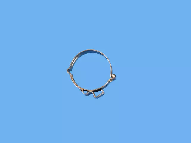 6106358AA - Air Conditioners and Heaters: Hose Clamp for Mopar Image