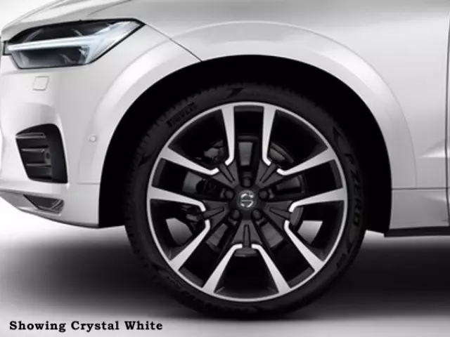 40003531 - Body: Fender Extension - Pine Grey for Volvo: XC60 Image