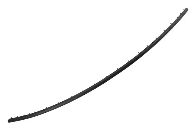 84613078 - : Rear Weather-Strip for GM Image
