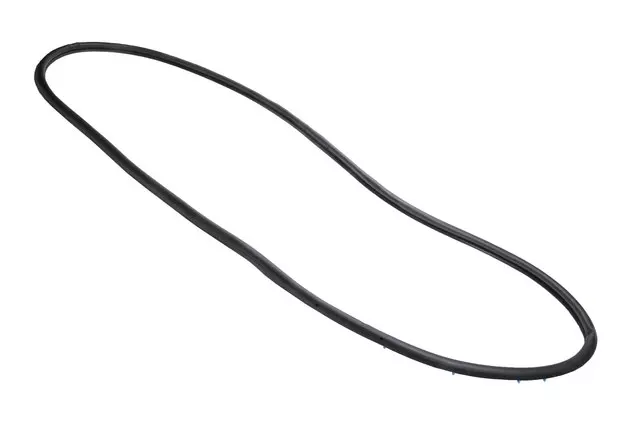 22973973 - Body: Door Weather-strip for GM Image