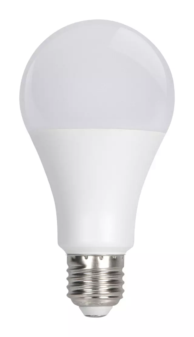 W2283 - : LED LIGHT BULB for Performance Tool Image