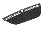 42955173 - : F Grille for GM Image