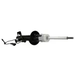 AST85981 - : Motorcraft™ Strut for Lincoln: Aviator Image