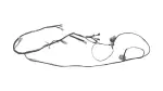 821710RD00 - : Wire Roof for Toyota Image