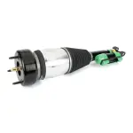 AS3336 - : Arnott Air Suspension Strut for Arnott Image