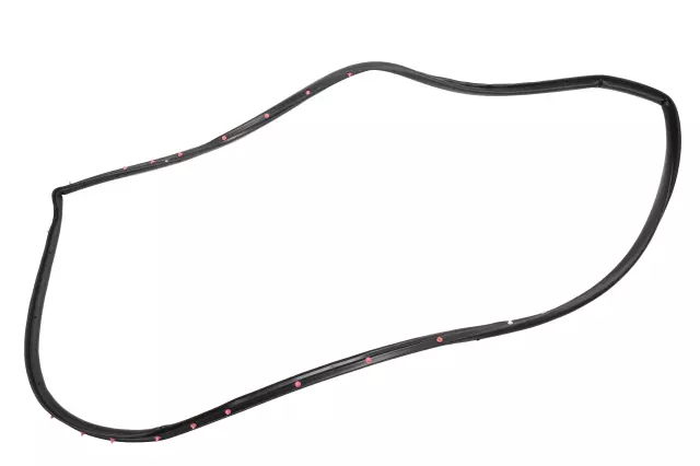 Front Driver Side Door Weatherstrip - GM (84270782)