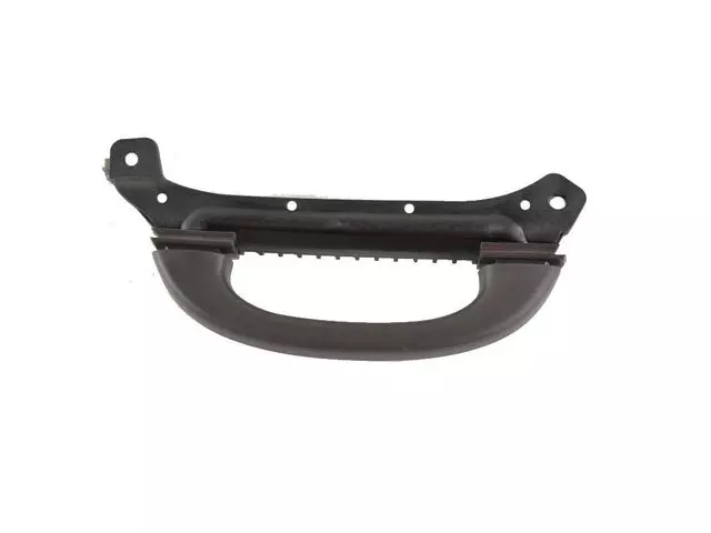 Grab Handle, Left - Mopar (6EM33LU5AA)