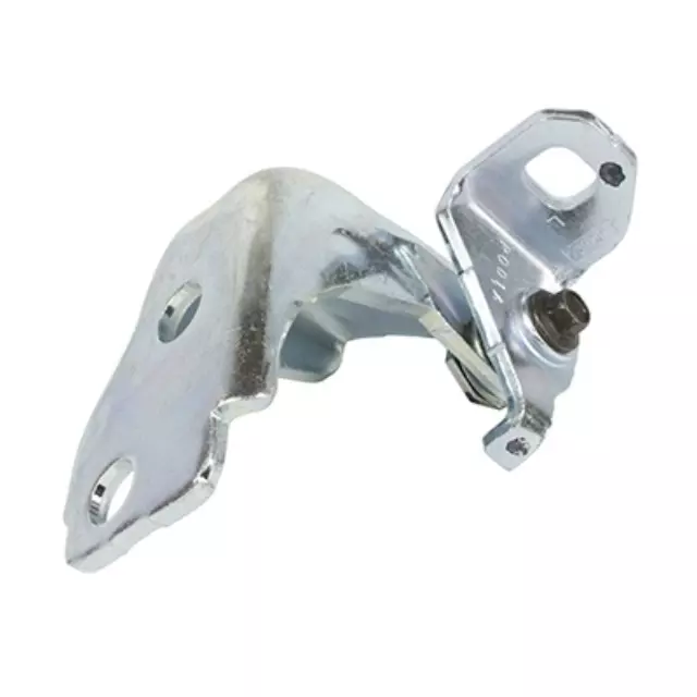Lower Hinge - Ford (FT4Z-5822811-B)