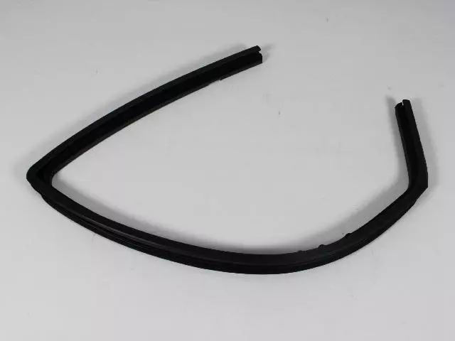 Front Door Glass Seal, Left - Mopar (55394053AL)