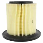 FA1641 - : Motorcraft™ Air Filter for Ford: Explorer | Mercury: Mountaineer Image
