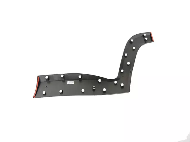 Rear Door Molding, Right - Mopar (7SR57LXHAA)