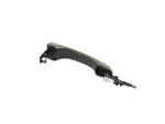 1RH65RFQAD - Doors, Door Mirrors and Related Parts: Exterior Door Handle for Chrysler: 300 Image