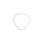 5319 - : KC Shield FLEX ERA 3 Clear EA for KC HiLiTES Image