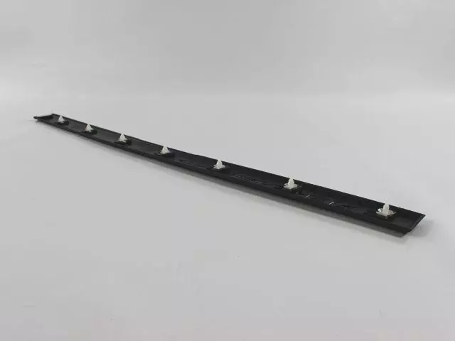 Front Door Molding, Right - Mopar (5JP68RXFAA)