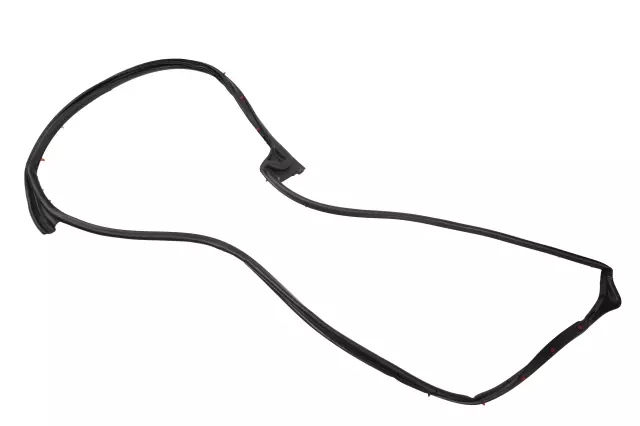 Front Passenger Side Door Weatherstrip - GM (84234298)