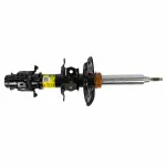 AST84829 - : Motorcraft™ Strut for Ford Image