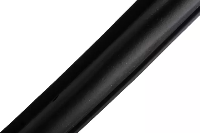 Rear Passenger Side Door Weatherstrip - GM (42541955)