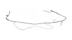 82171F2D40 - : Wire Roof for Toyota Image