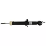 JL1Z18124U - Suspension: Suspension Shock Absorber for Ford: Expedition Image