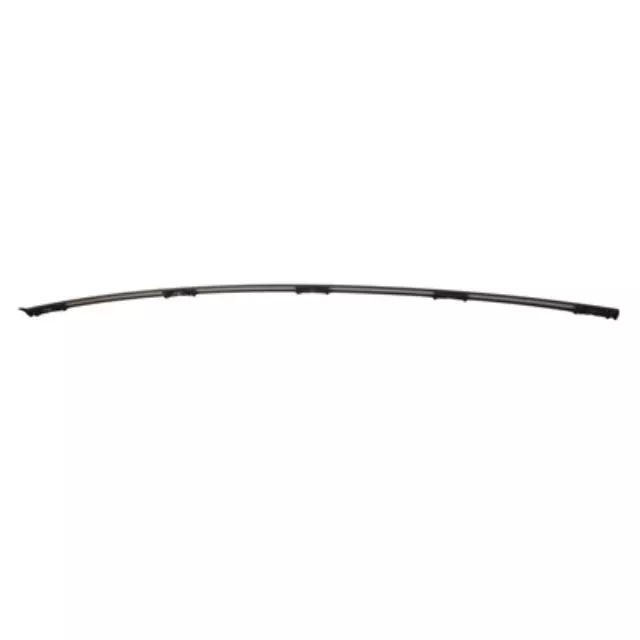Roof Molding - Ford (CP9Z-5450463-A)