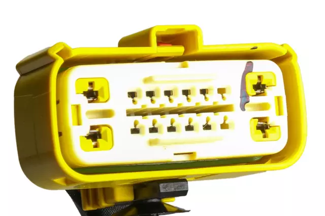 Harness - GM (22861907)