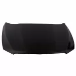 DG1Z16612A - : Hood Panel for Ford Image