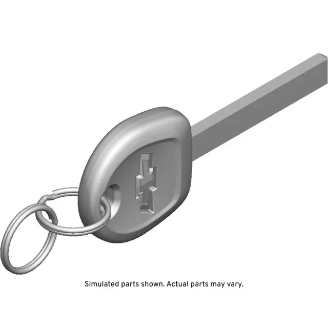 13523898 - : Door Lock and Ignition Key for GM Image