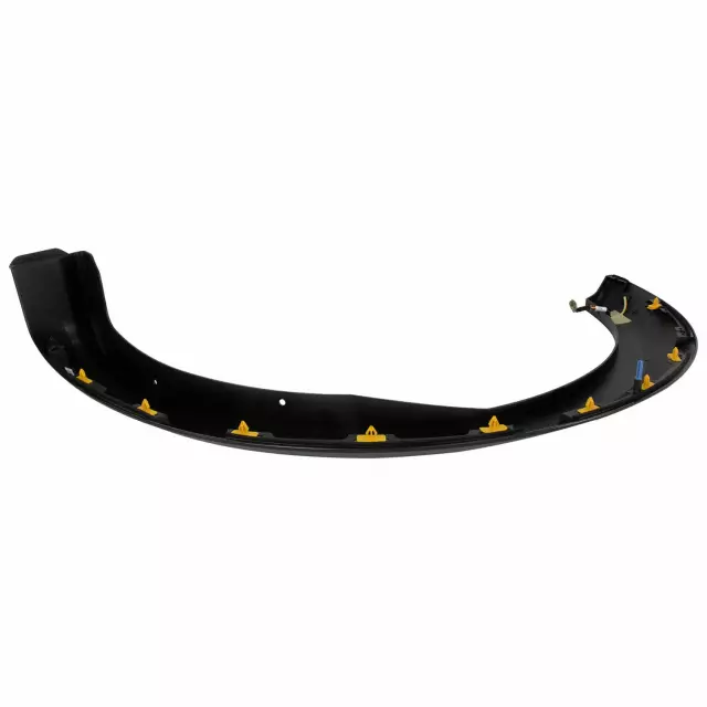 Molding - Ford (HL3Z-16038-AAPTM)