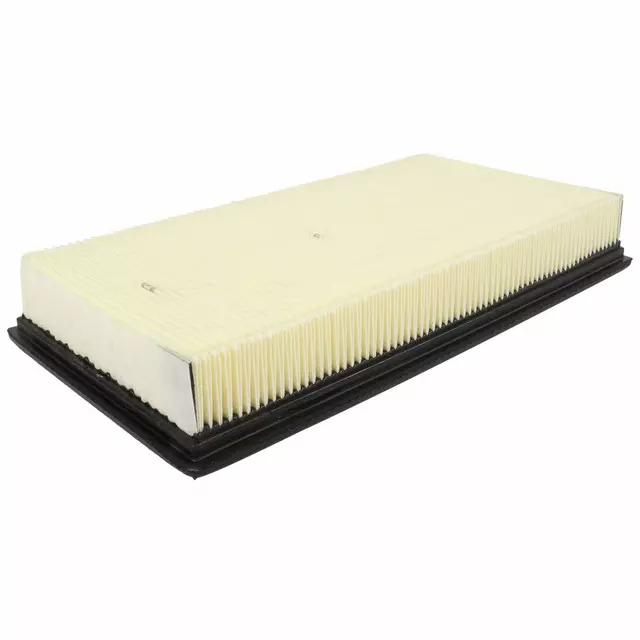Air Filter - Ford (XW4Z-9601-AC)