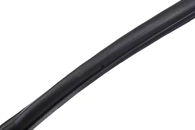 Driver Side Front Door Weatherstrip - GM (22755599)