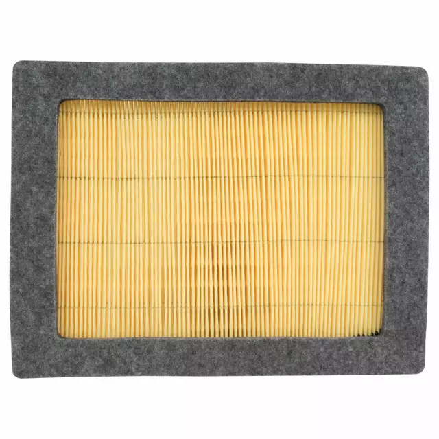 Air Filter - Ford (4L3Z-9601-BA)