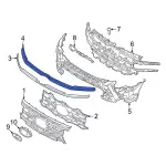 NL1Z8200CA - Body: Upper Molding for Ford: Expedition Image
