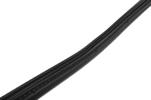 Rear Side Door Weatherstrip - GM (84921200)