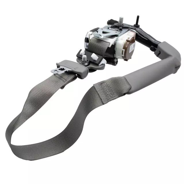 GL3Z18611B09AA - Electrical: Outer Belt for Ford: F-150 Image