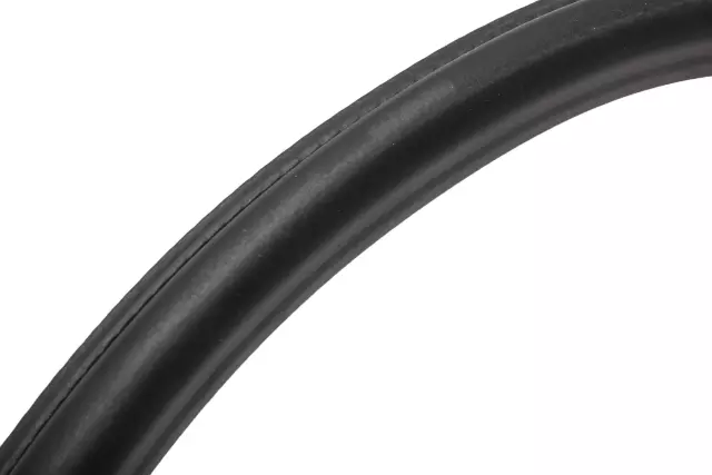 Front Side Door Weatherstrip - GM (42588069)