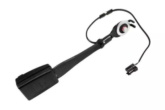 Buckle - GM (19257766)