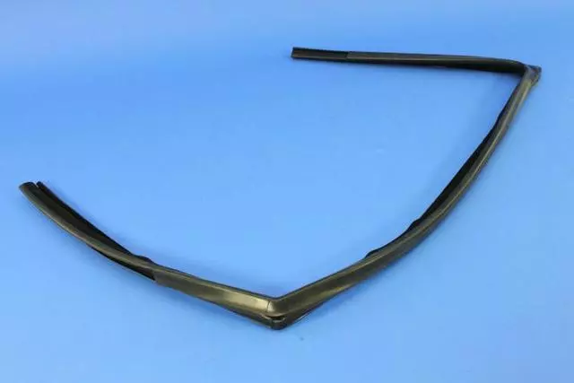 Front Door Glass Run Weatherstrip, Left - Mopar (5074657AF)