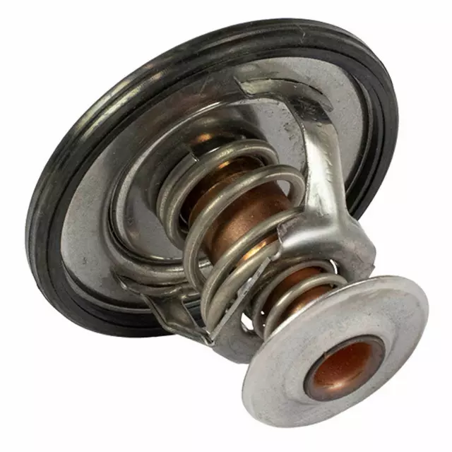Thermostat Assembly - Ford (QRT-9)