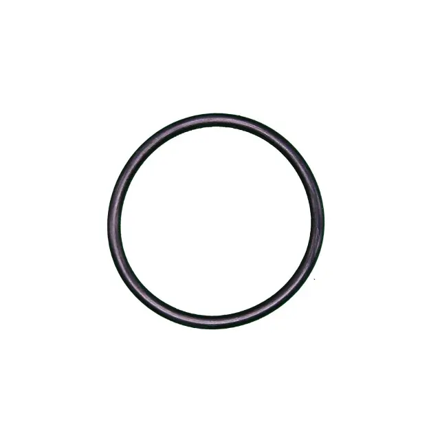 J119 - : CALORSTAT by Vernet Engine Coolant Thermostat Seal for VERNET Image