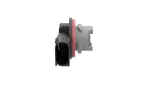 68036496AA - : Tail Lamp Socket for Mopar Image